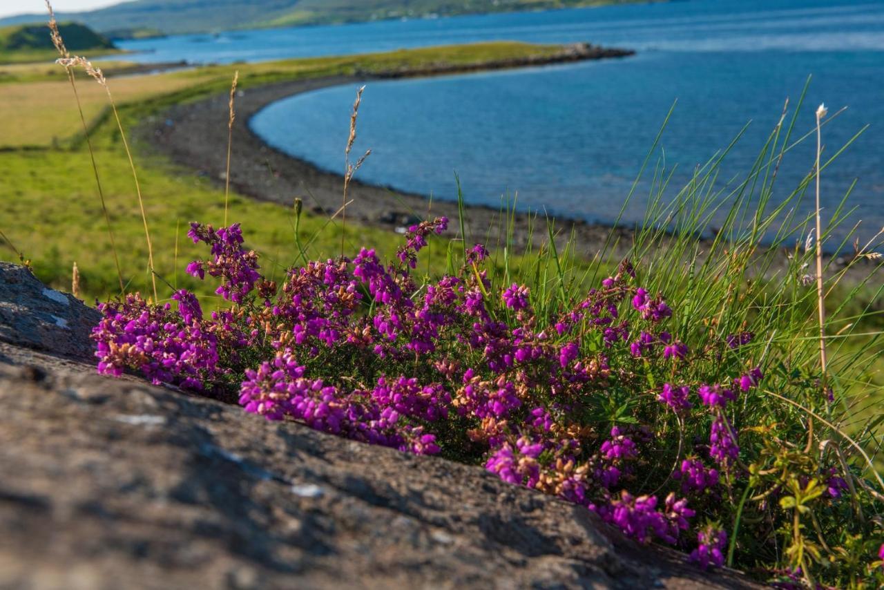 Lodge Skye Dunvegan Skye *